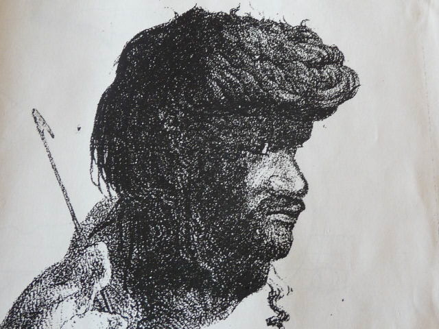 Drawing of Koori man from south